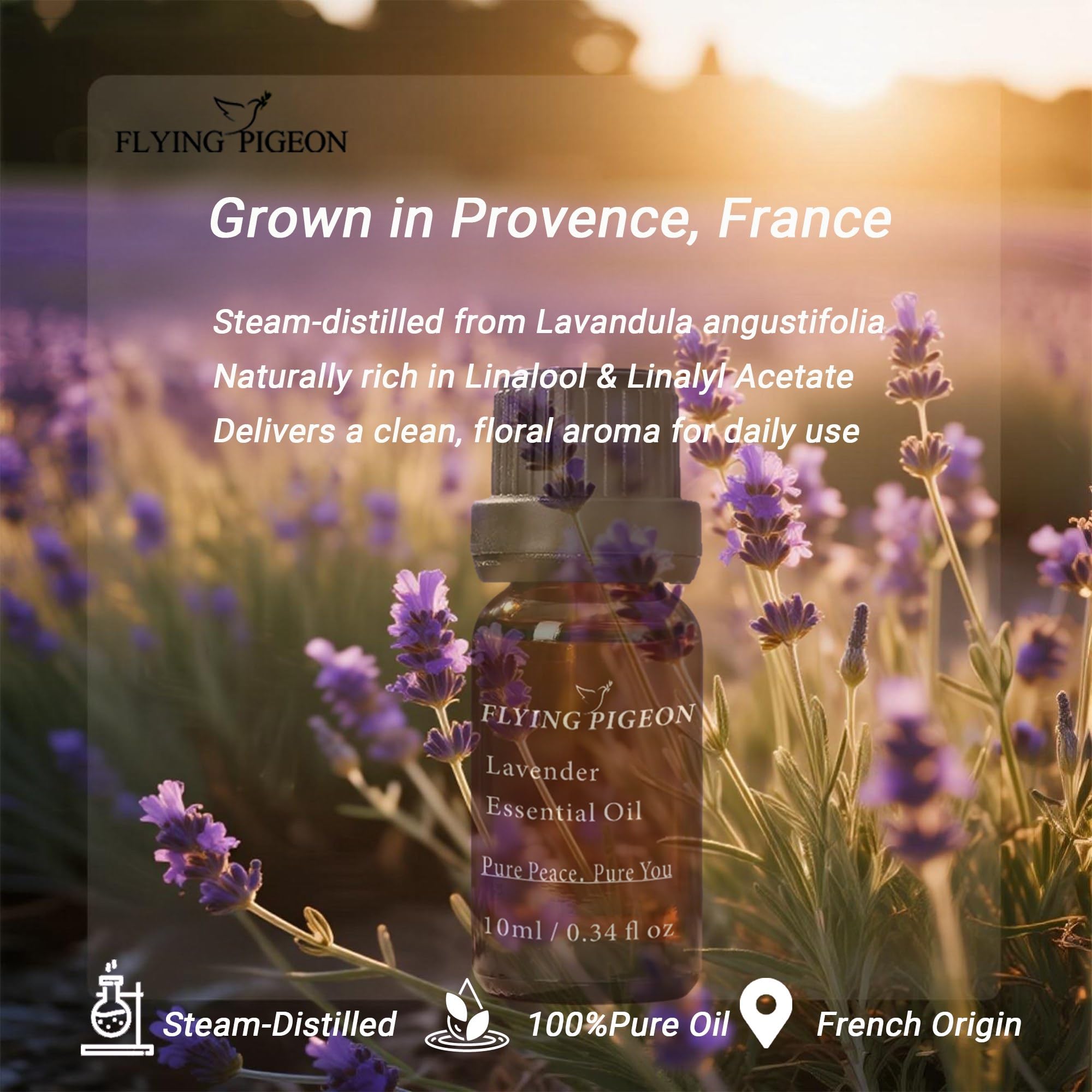 Huile Flying Pigeon lavande – pipette facilitant le dosage précis