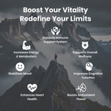Boîte Flynew Shilajit 60 gélules, format pratique et durable.