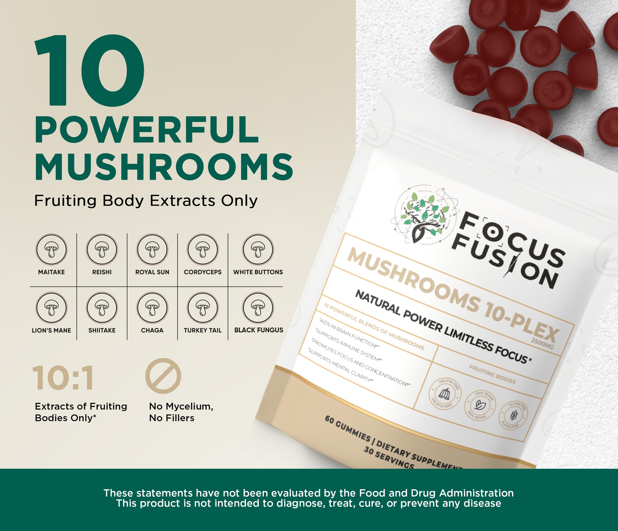 Focus Fusion reishi, vue rapprochée, potentiel de bien-être intérieur et détente légère.