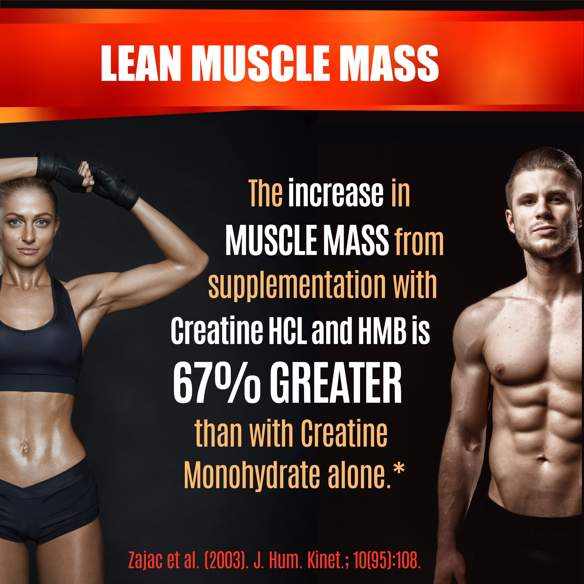 Folona Creatine HMB – absorption rapide et dissolution.