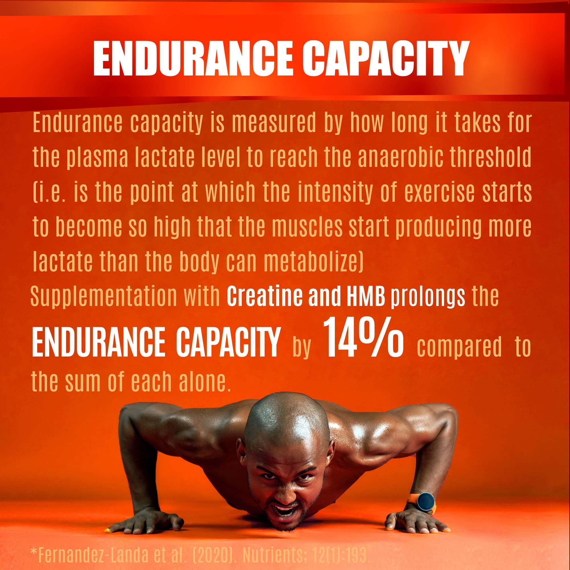 Folona Creatine HMB – synergie potentielle gains et endurance.