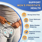 FoodiMed Probiotiques pour hommes - enzymes et prébiotiques, aide à la digestion.