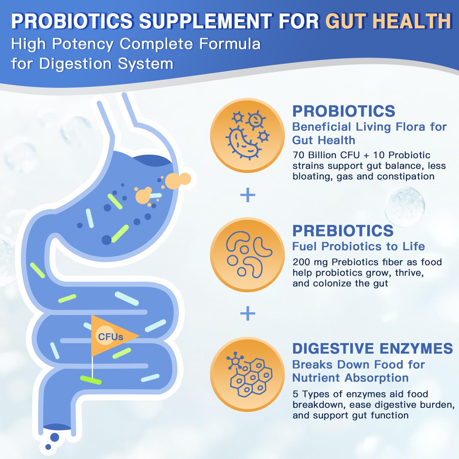 FoodiMed Probiotiques pour hommes - gélules végétales, digestion équilibrée.