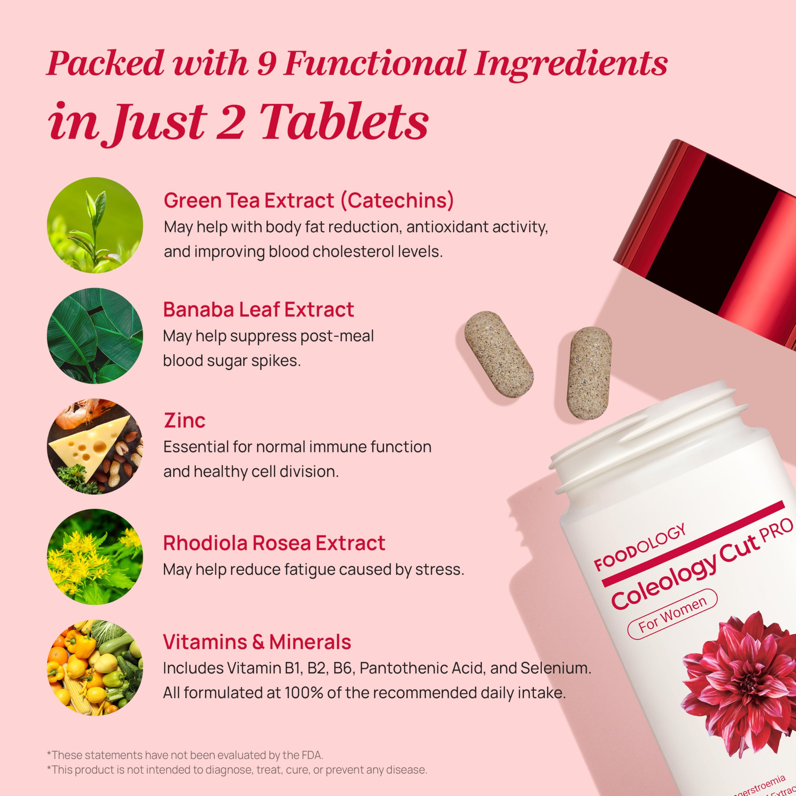 FOODOLOGY Coleology Cut PRO - énergie et métabolisme soutenus par les vitamines B