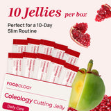 FOODOLOGY Gelée en sticks certifiée GMP, production conforme