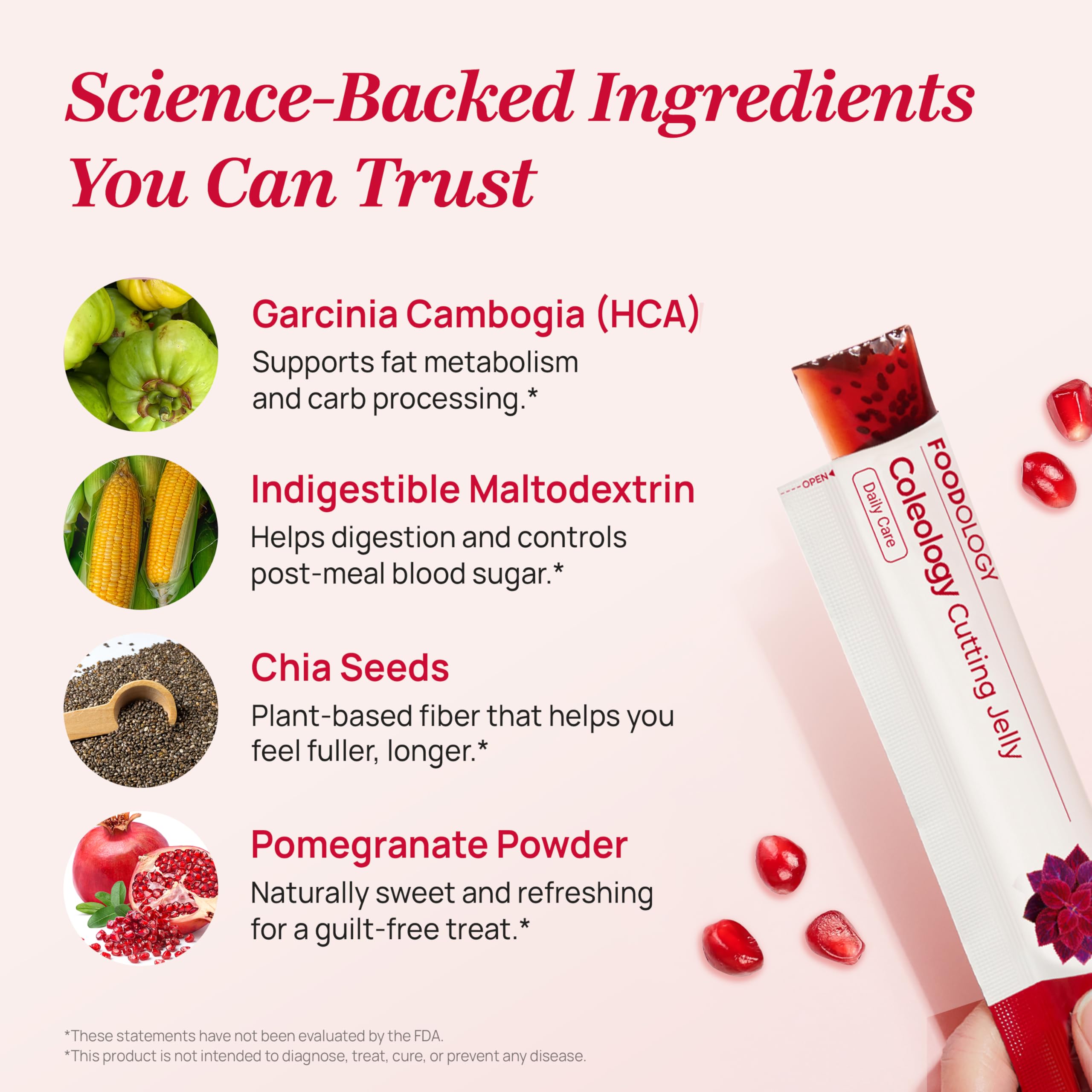 FOODOLOGY Gelée en sticks Garcinia Cambogia et effets potentiels sur l'appétit