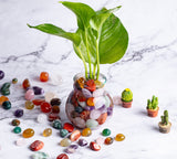 FORBY pierres polies remplissage de vase et décor de table