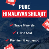 Force Factor Supreme Shilajit, emballage sobre, pratique pour voyages et entraînements.
