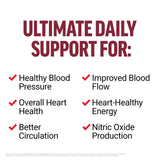 Force Factor Total Beets: poudre de betterave brillante, usage quotidien facile.