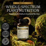 Forest Manna Pine Pollen Capsules: gros plan sur les capsules, pratique au quotidien.