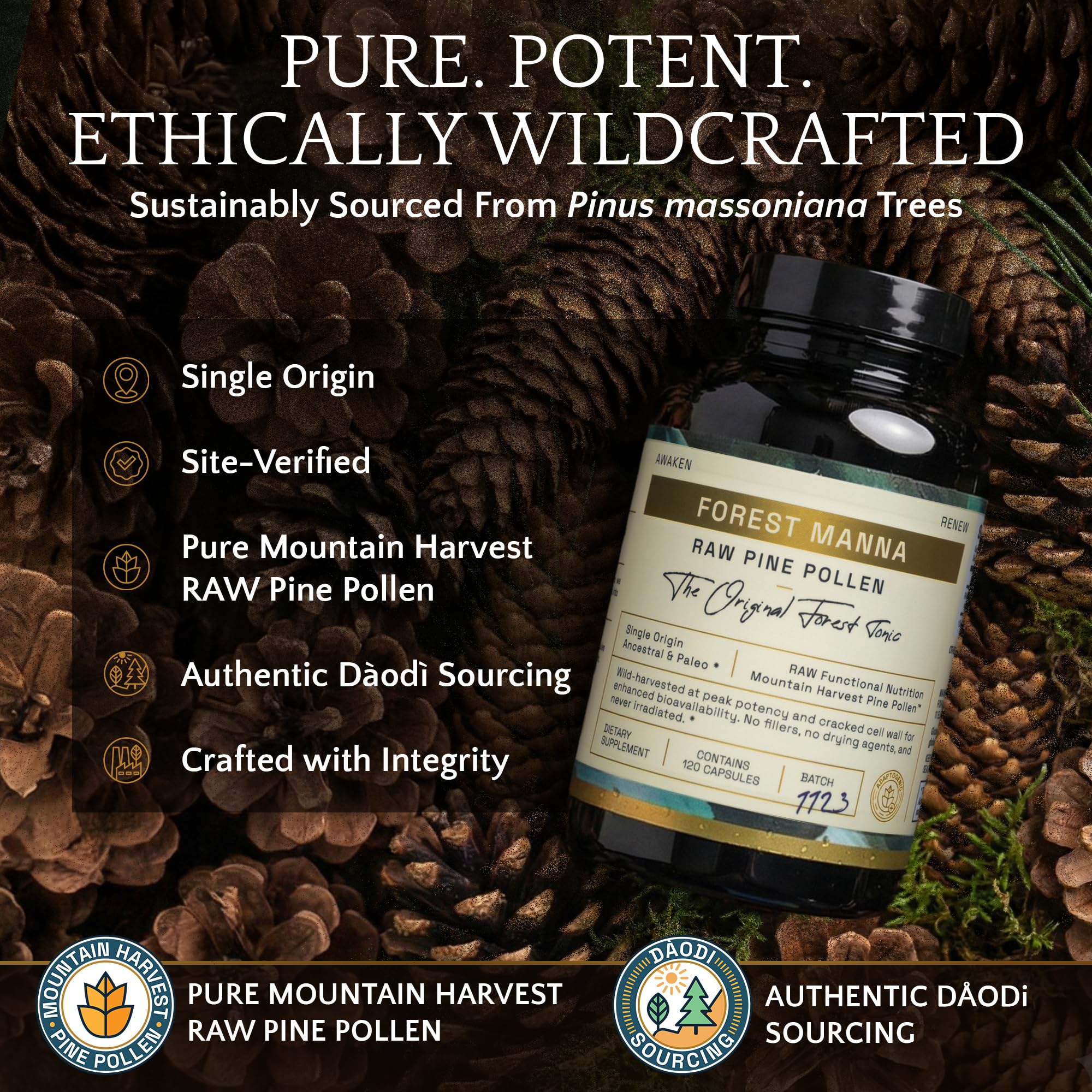 Forest Manna Pine Pollen Capsules: récolte sauvage, origine unique, gage de pureté et traçabilité.