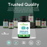 ForestLeaf B2 400 mg – absorption optimisée et formulation pure pour votre routine.
