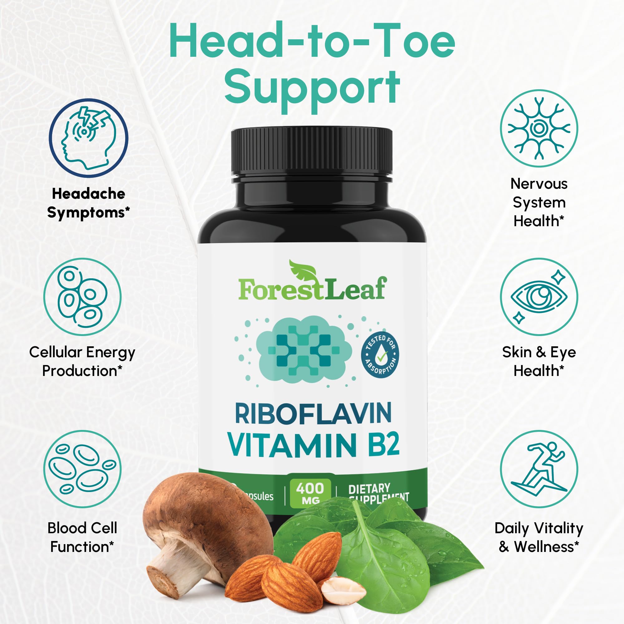 ForestLeaf B2 400 mg – bouteille et emballage, qualité et traçabilité.
