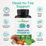 ForestLeaf B2 400 mg – bouteille et emballage, qualité et traçabilité.