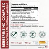 ForestLeaf Berberine – dose journalière en capsules adaptée à votre routine.