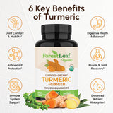 ForestLeaf capsules-curcuma-gingembre-2265mg: absorption améliorée grâce à BioPerine.