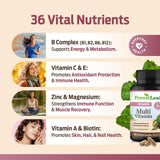 ForestLeaf capsules énergie et concentration grâce aux antioxydants naturels