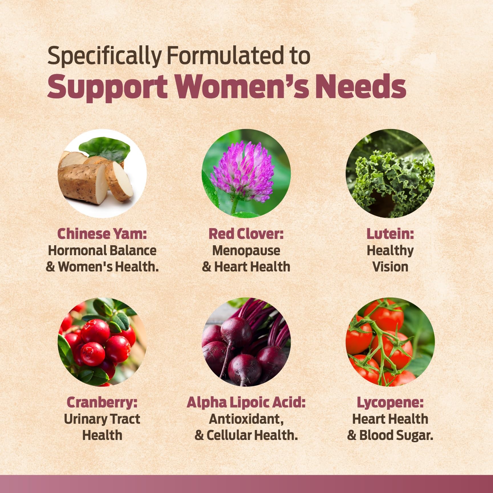 ForestLeaf capsules femmes pour vitalité quotidienne et soutien énergie