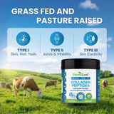 ForestLeaf collagène sans OGM formulation sûre et sûre