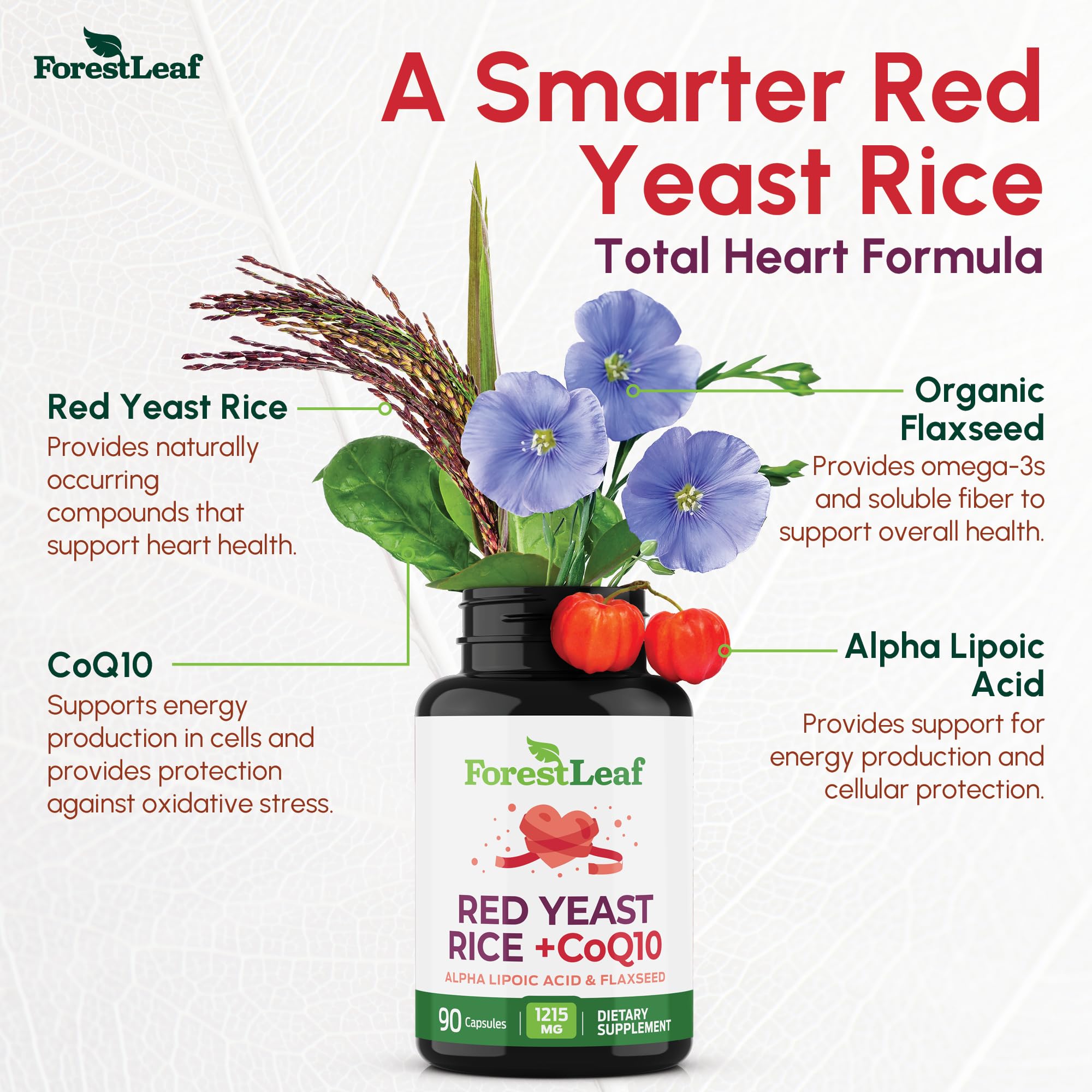 ForestLeaf CoQ10 inclus pour l'énergie quotidienne et la vitalité.