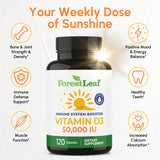 Emballage coffret ForestLeaf D3 prêt à offrir ou ranger.