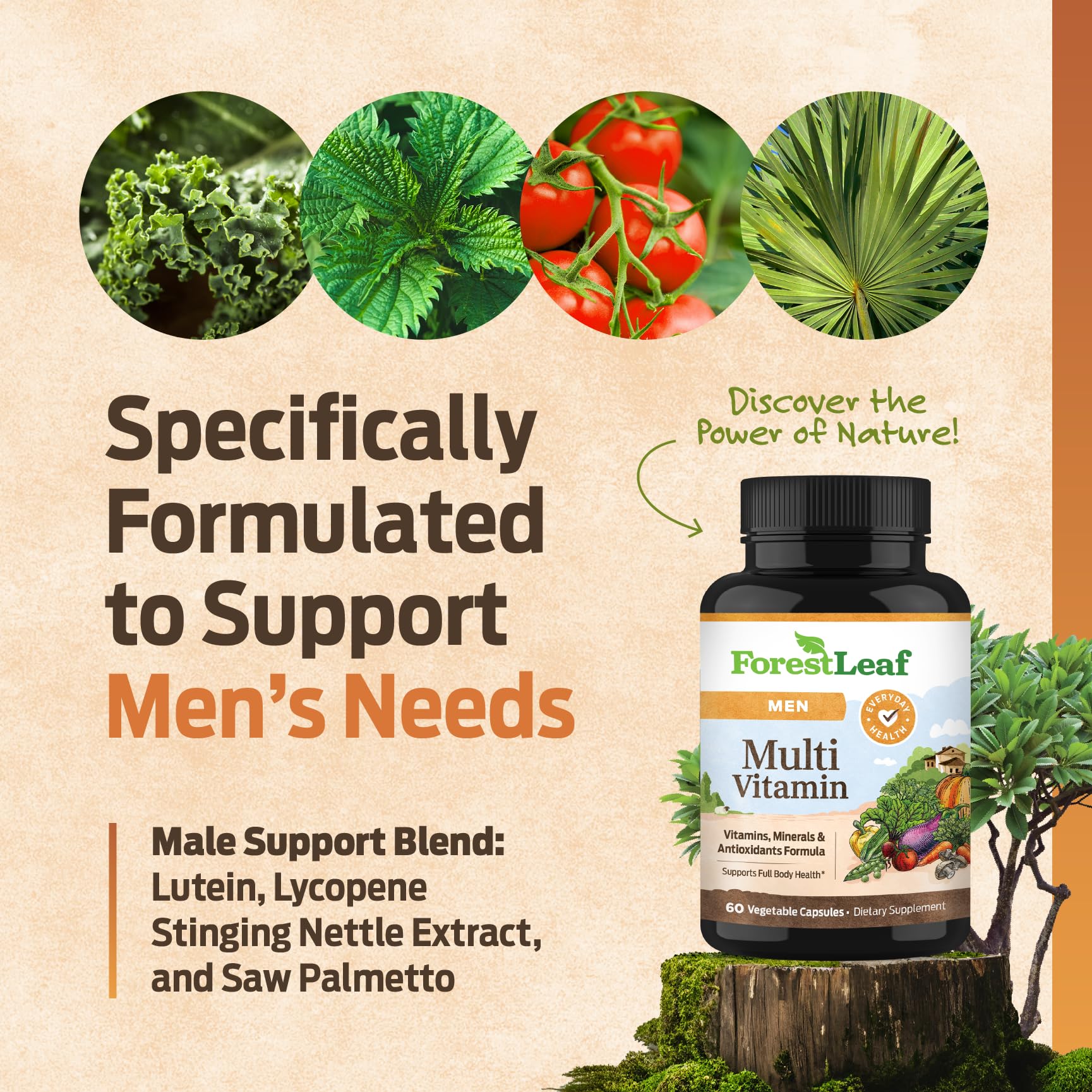 ForestLeaf Quotidien Multivitamines pour Homme — étiquette claire et ingrédients végétaux sans additifs artificiels.