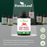 ForestLeaf s’intègre facilement à une routine quotidienne équilibrée.
