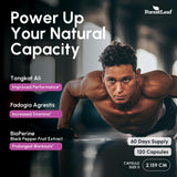 ForestLeaf Tonkat Ali Max - scène énergie pour entraînements et journées chargées.