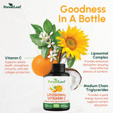 ForestLeaf vitamine C liposomale 1000 mg, sans OGM et sans allergènes courants.
