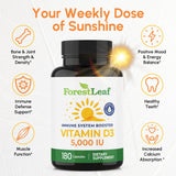 ForestLeaf Vitamine D3 5000UI: capsules visibles et dosage élevé.