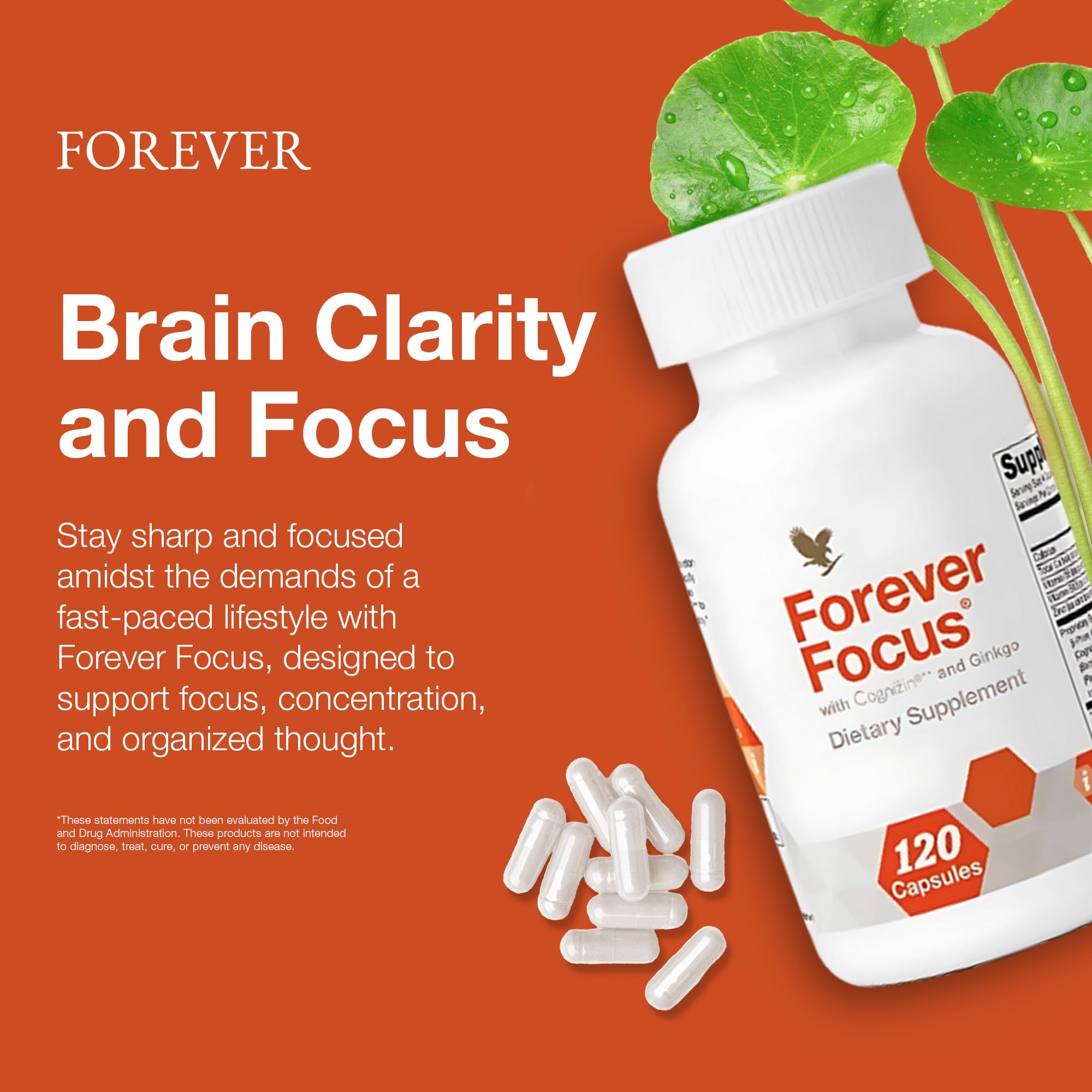 Forever Focus – professionnel productif pendant une réunion.