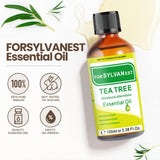 Forsylvanest huile prête pour diffusion, atmosphère fraîche et naturelle