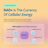 Fortematic NAD+ Resveratrol — étiquette claire, détails sur l’usage et les composants.