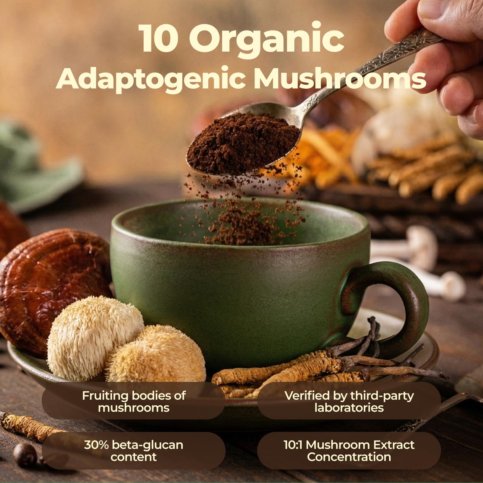 FORTISCA Café aux champignons saveur crémeuse et café de qualité.
