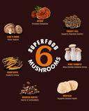 Fortisca Mushroom Coffee : Lion’s Mane et Reishi pour clarté mentale