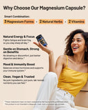 FORTISCA Triple Magnesium Complex – Ashwagandha et L-théanine pour une sensation de calme