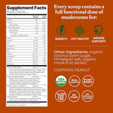 Chaga et cordyceps dans Four Sigmatic, profil nutritionnel riche.
