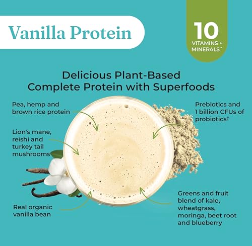 Four Sigmatic protéine végan bio vanille – bocal recyclable et saveur naturelle