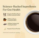 Sachets Four Sigmatic pour crinière de lion et chaga, utilisation pratique et dosage facile