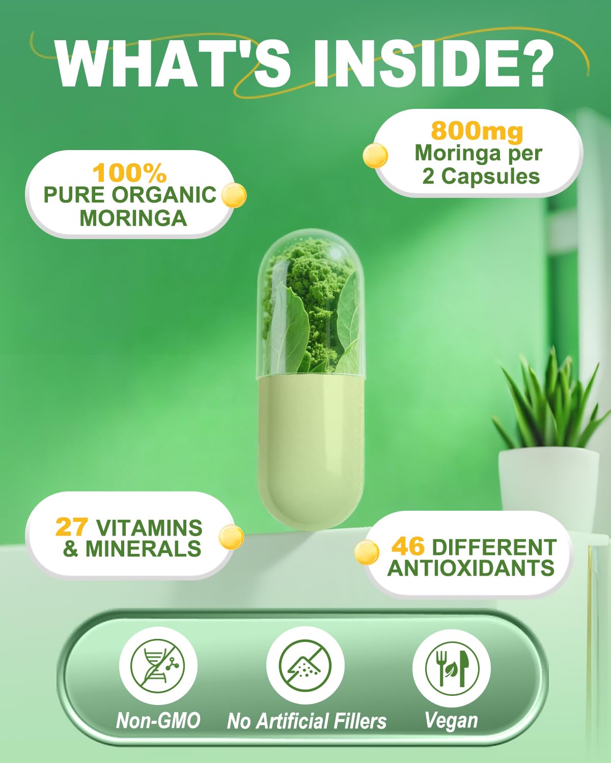 Fravonique Moringa 800 mg étiquette – informations essentielles