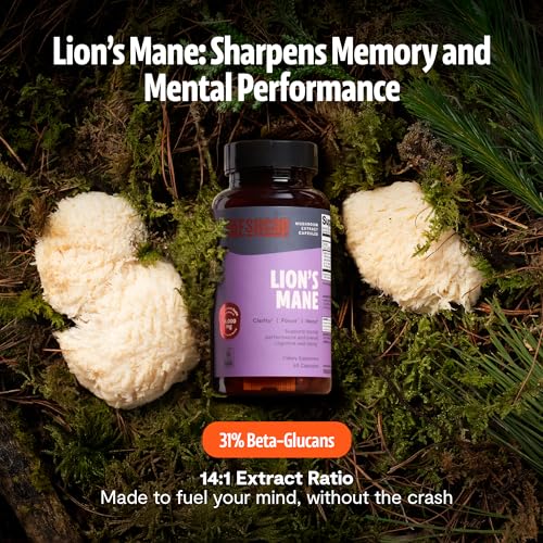 FreshCap capsules crinière-de-lion, usage quotidien pratique pour concentration et focus