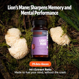 FreshCap capsules crinière-de-lion, usage quotidien pratique pour concentration et focus