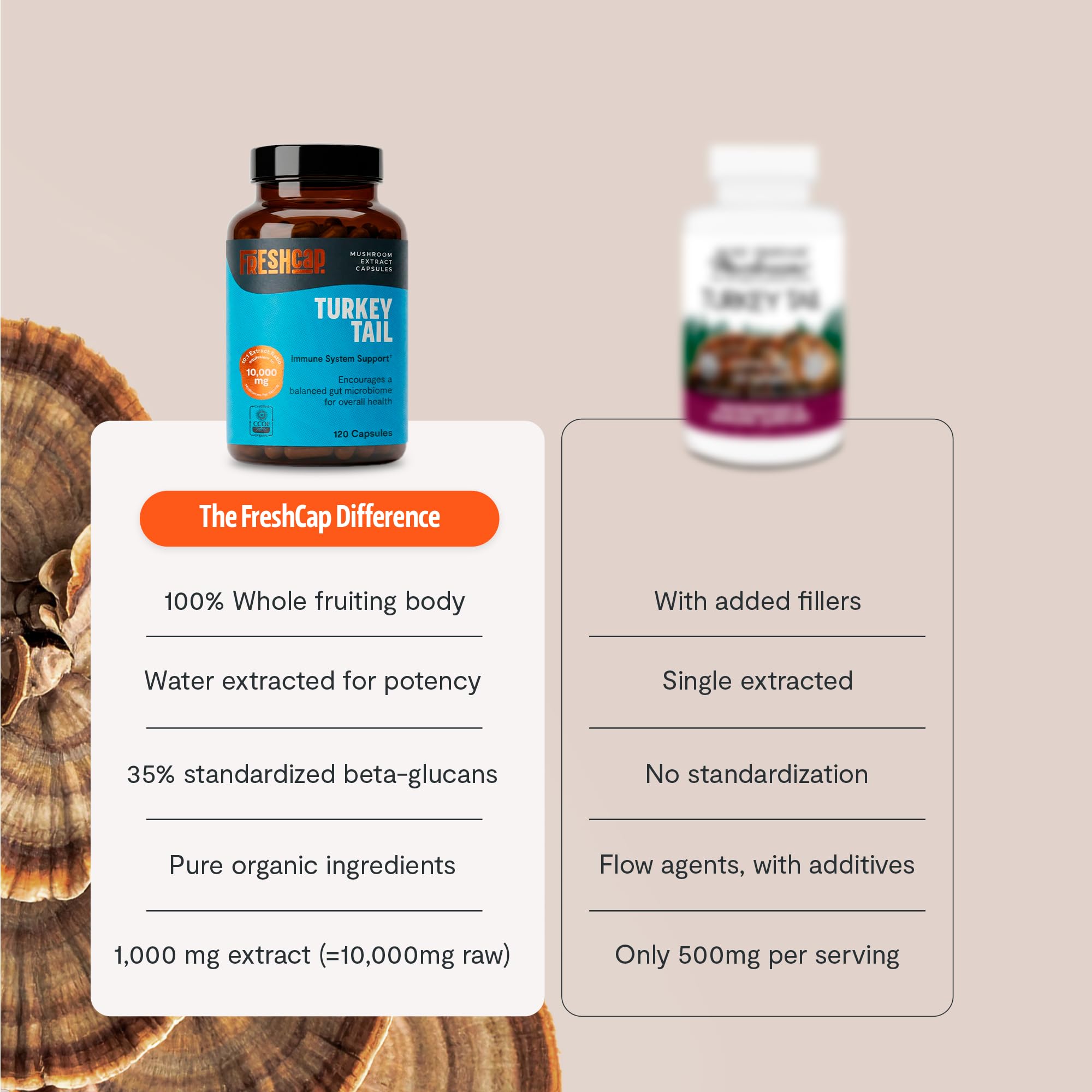 FreshCap Mushrooms – Certification bio végane paléo – compatibilité régime