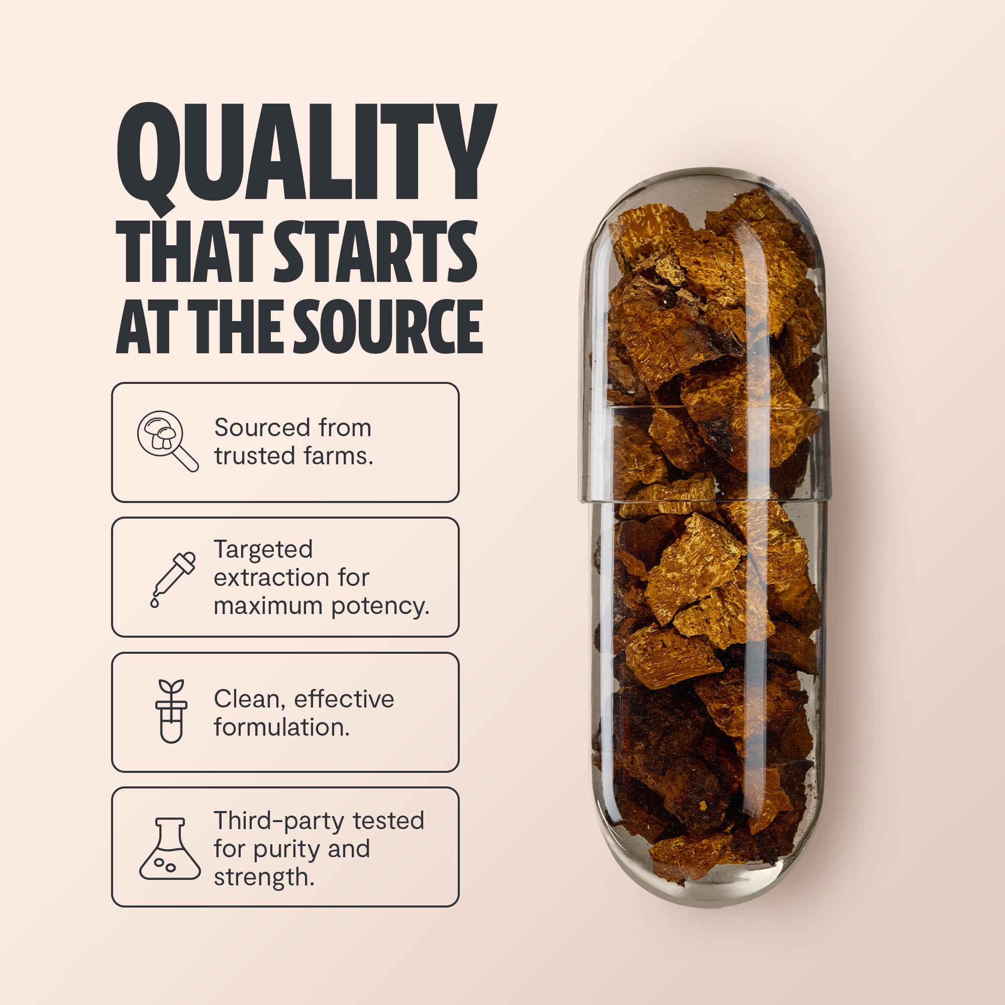Bouteille FreshCap Mushrooms Chaga prête à une routine quotidienne