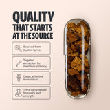 Bouteille FreshCap Mushrooms Chaga prête à une routine quotidienne