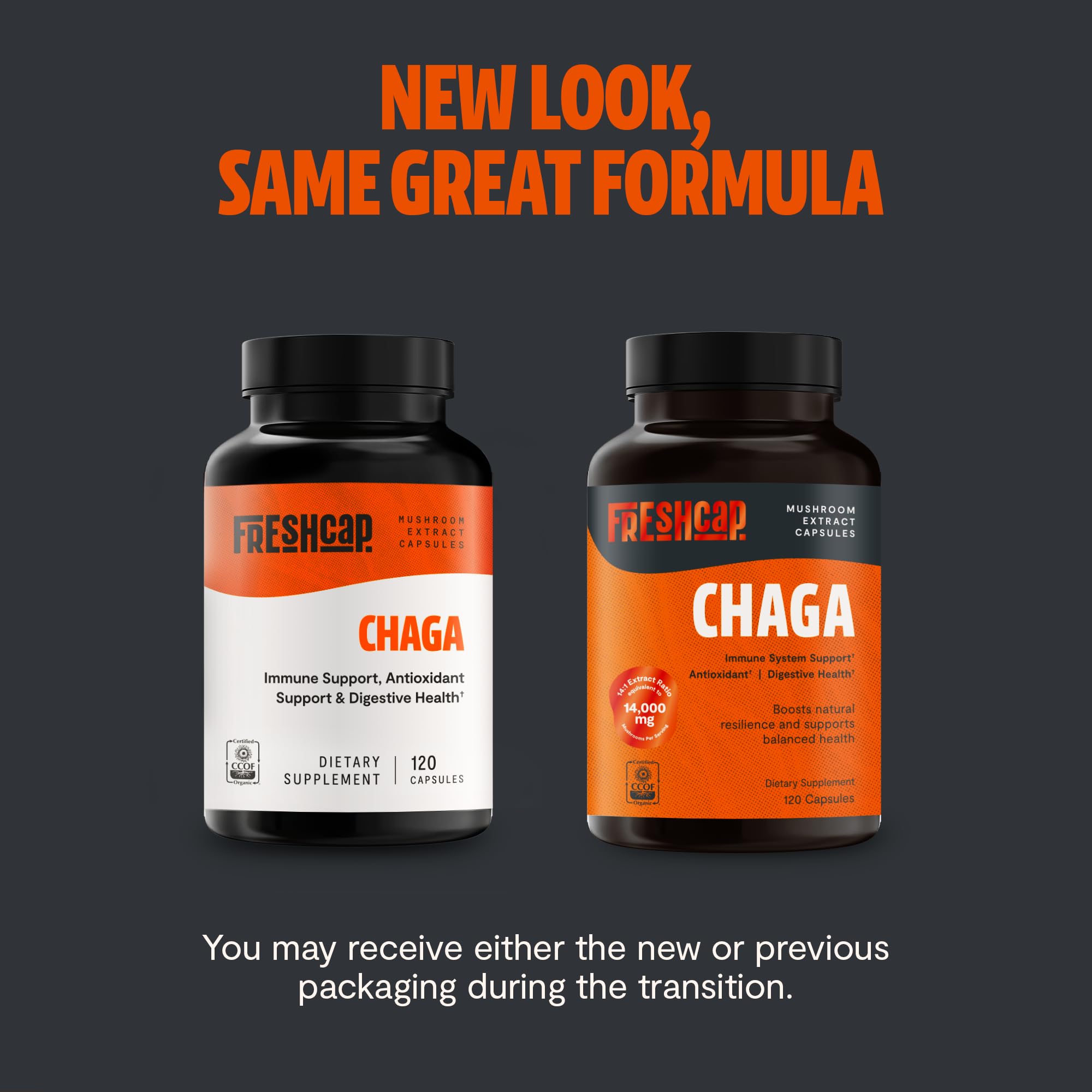 FreshCap Mushrooms Chaga – étiquette bio et pureté sans additifs