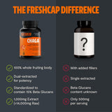 Utilisation quotidienne facile FreshCap Chaga dans votre routine