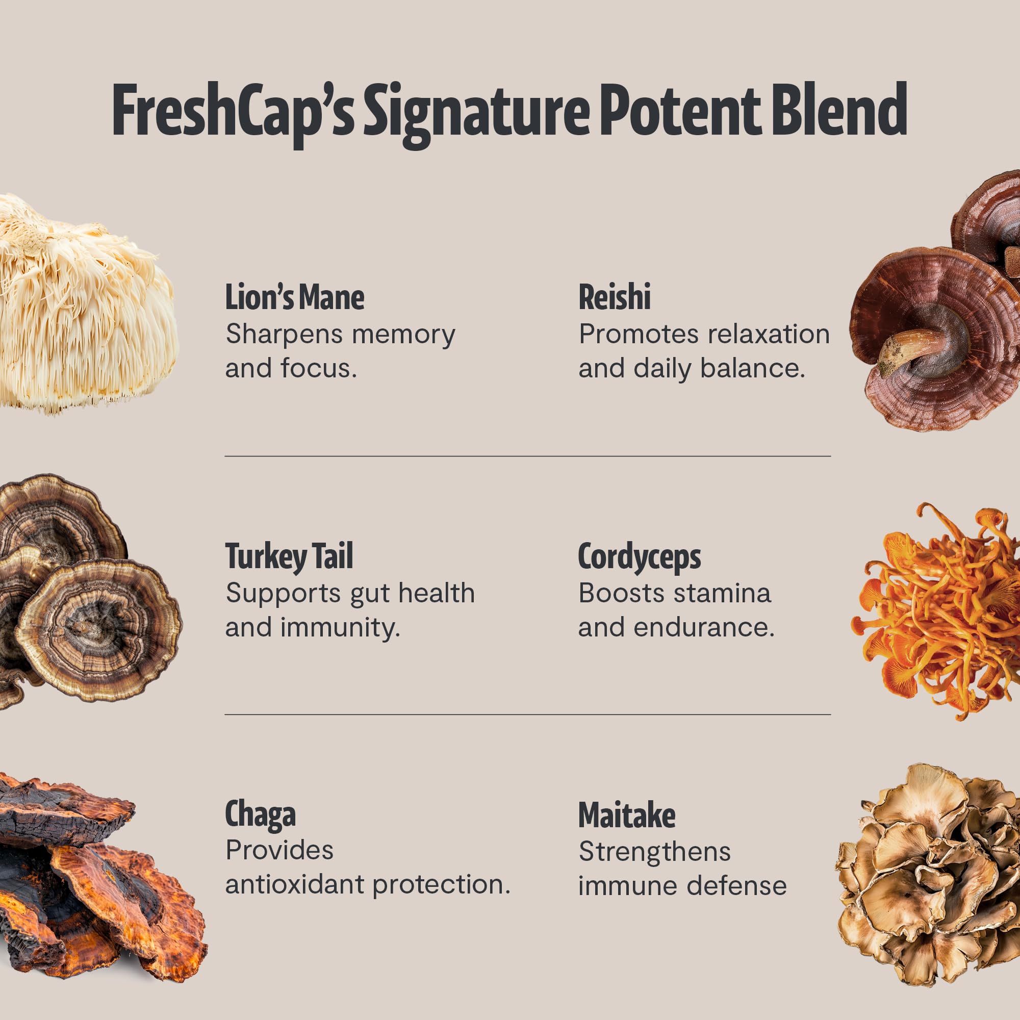 FreshCap Mushrooms Coffee, eau chaude prête en quelques secondes