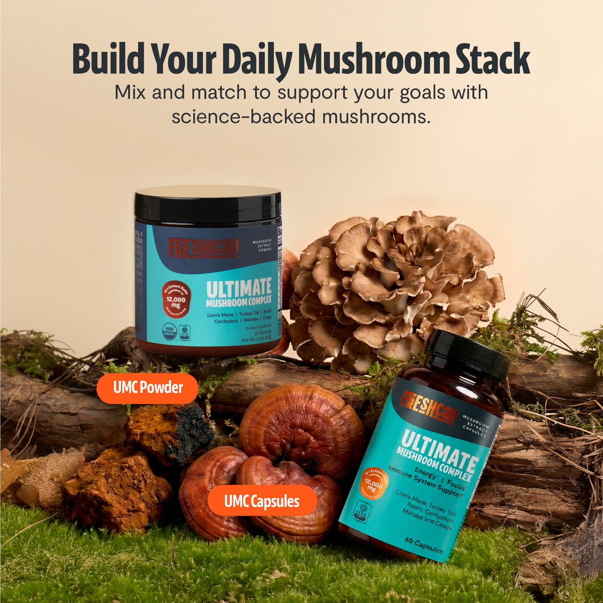 FreshCap Mushrooms Complex utilisation-quotidienne — capsule facile à avaler le matin.