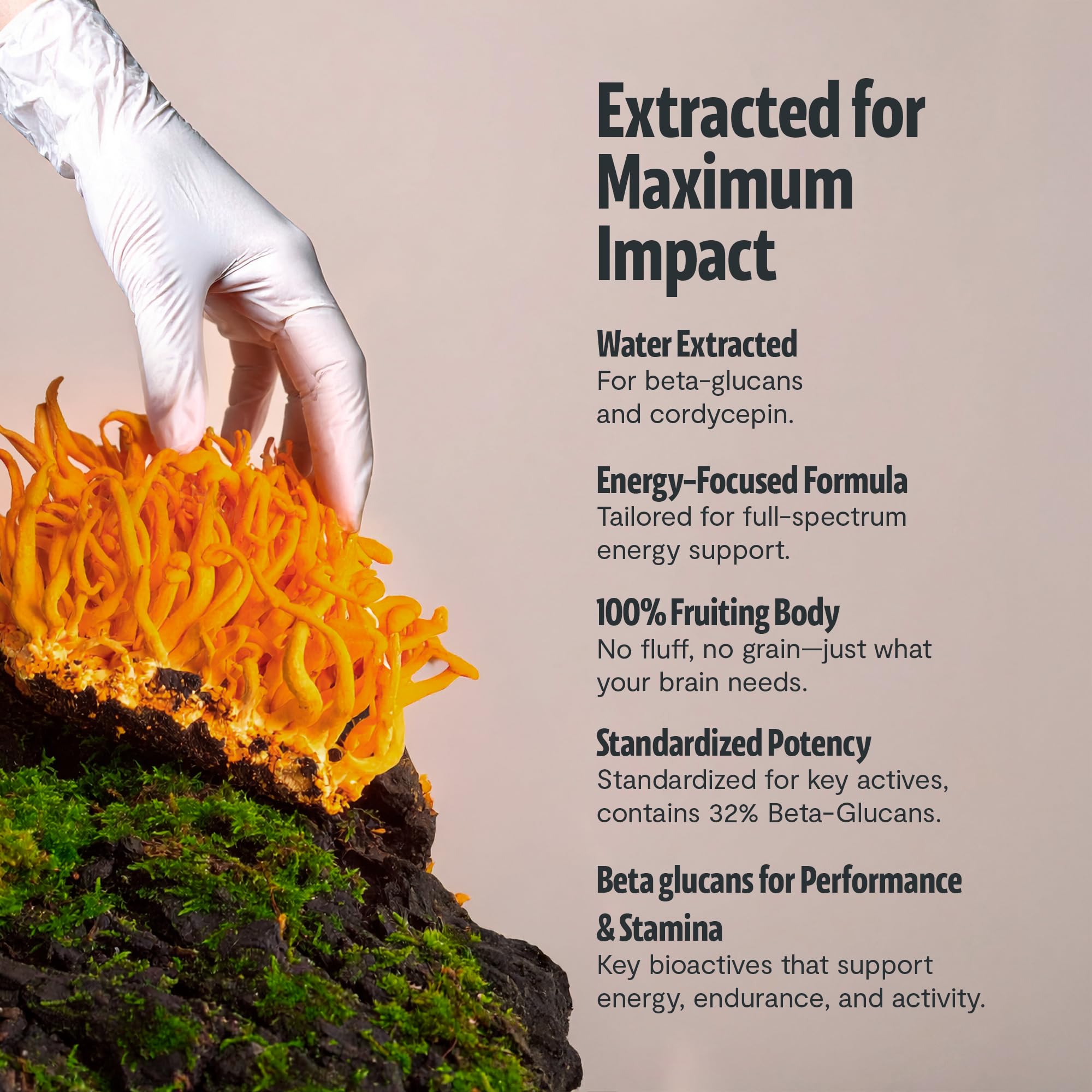Cordyceps FreshCap: soutien à l'endurance lors d'efforts quotidiens ou sportifs.